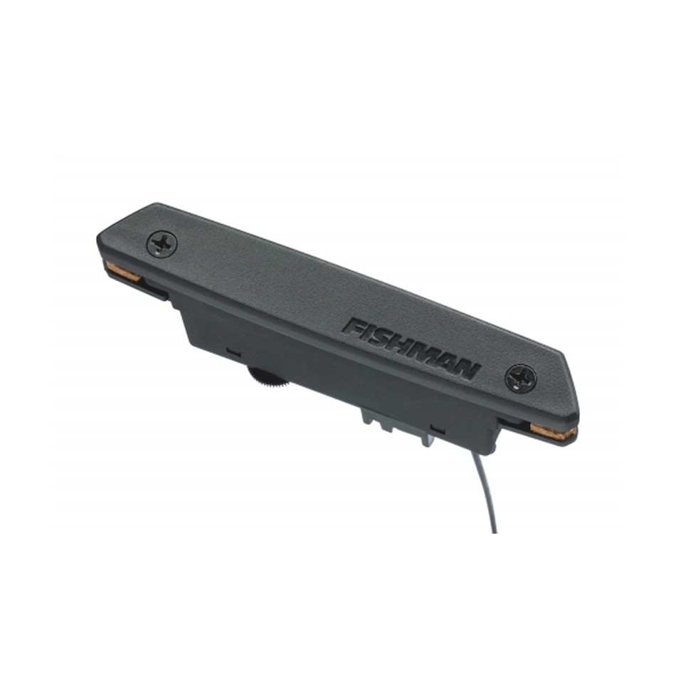 Fishman Acoustic Pickups
