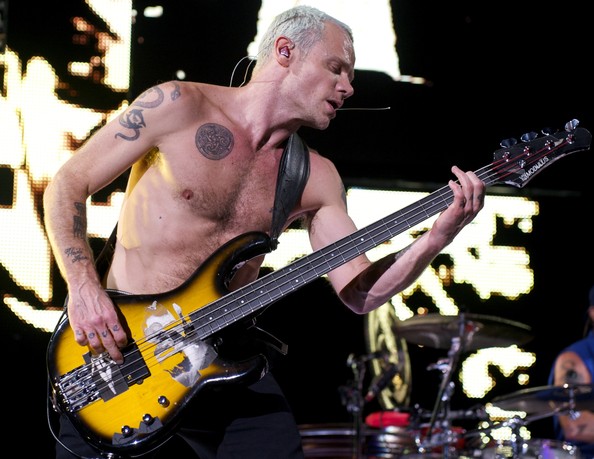 Some Of Our Favorite Bass Lines
