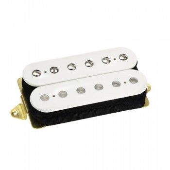 dp155w_1