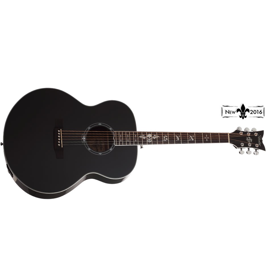 schecter3703-1