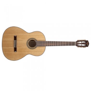 Five Great Tips For Using A Nylon String Guitar On Stage