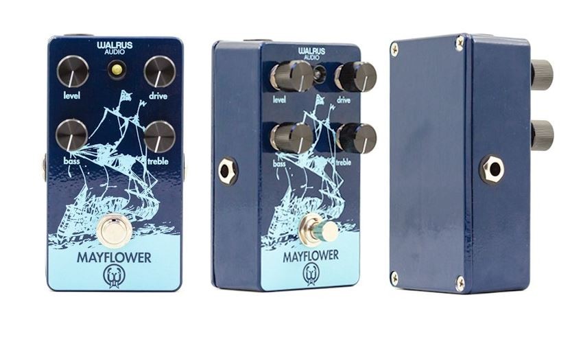 walrus_mayflower_1