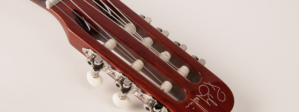 Godin multiac nylon encore 7 review